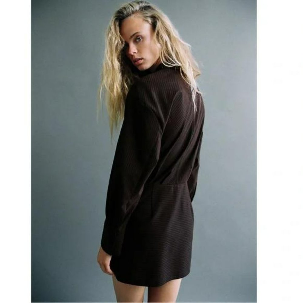 ZARA PINSTRIPE SHIRT DRESS - Picture 4 of 6